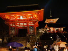 P1050737