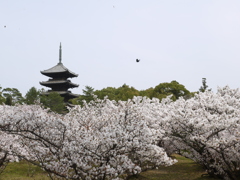 鳥桜塔