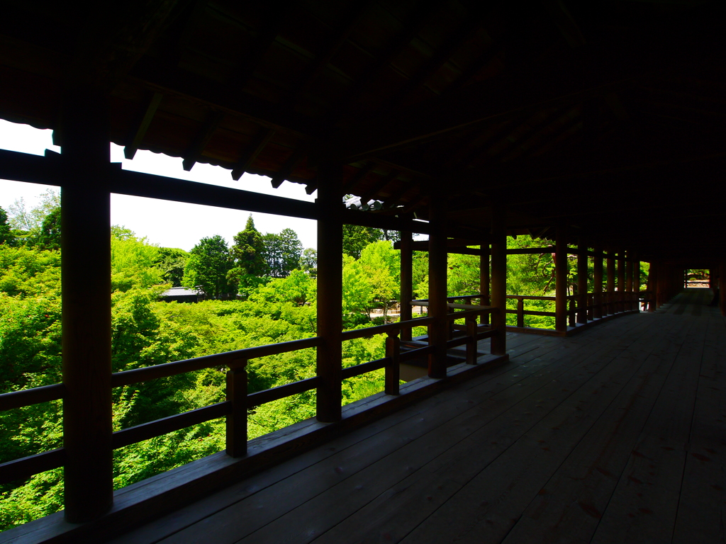 通天橋の眺め