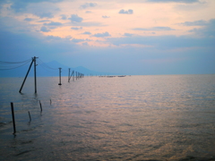 夕刻・海に連なる柱たち