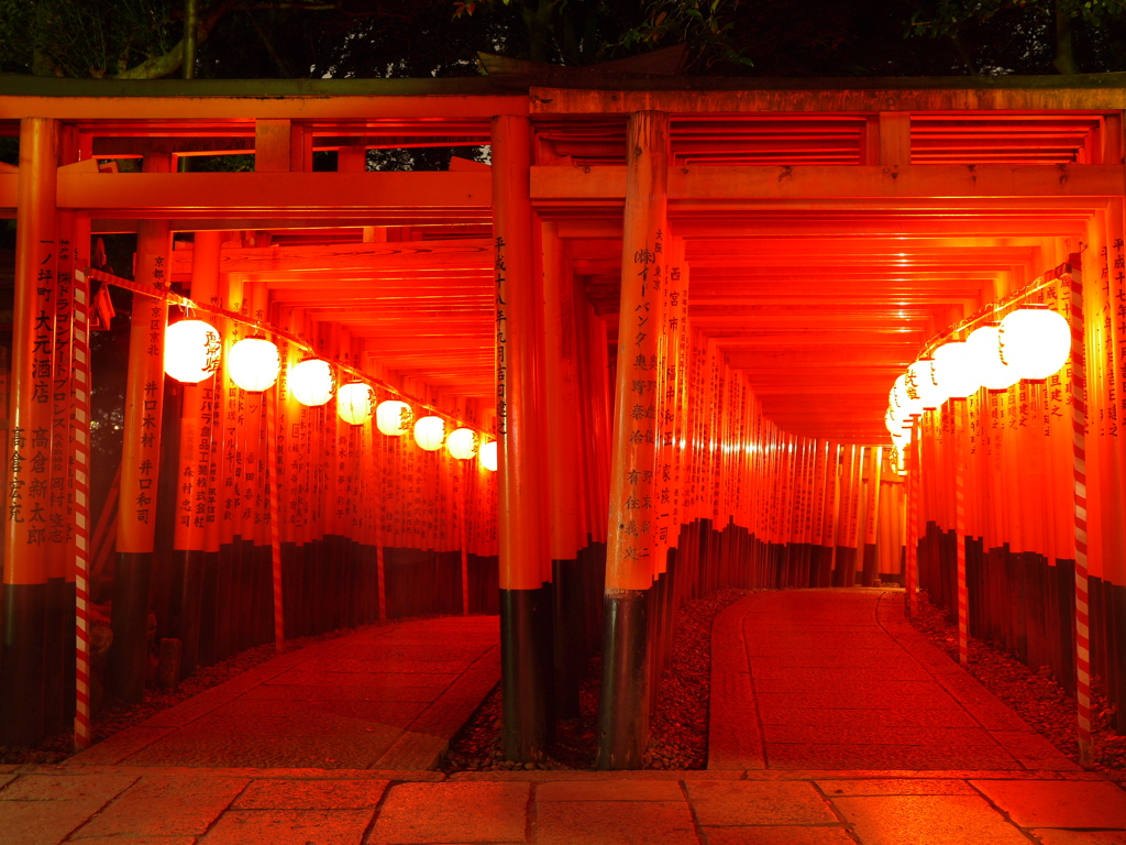 千本鳥居の輝き