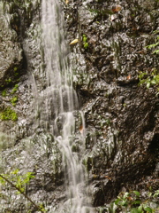 P1110076