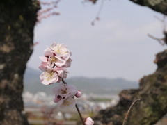 P1040507