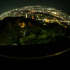 金華山夜景