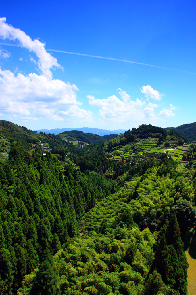 里山の夏