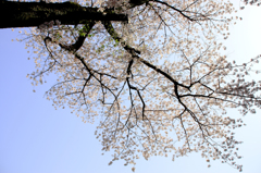 有終の美