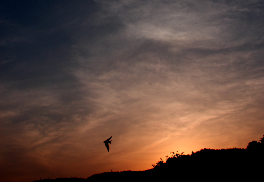夕日が沈む頃に