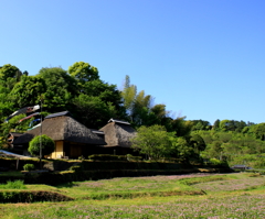 春風に吹かれて