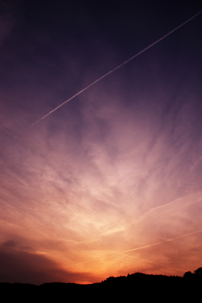 夕空を楽しむ燕