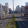 ミニチュア