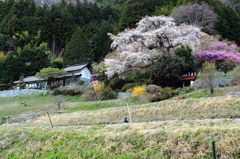 山村にひっそりと