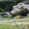 山村にひっそりと