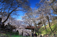 水鏡に惹き込まれて