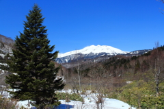 まだ春は遠く
