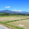 春の田園