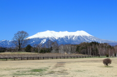 木曽馬の里より御嶽山