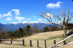 冠雪の中央アルプス