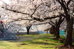 早朝、誰もいない公園で