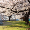 早朝、誰もいない公園で