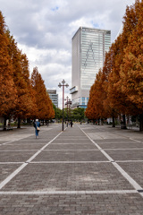 そろそろ秋も終わりですね