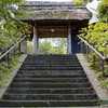 東慶寺へ行って来ました。