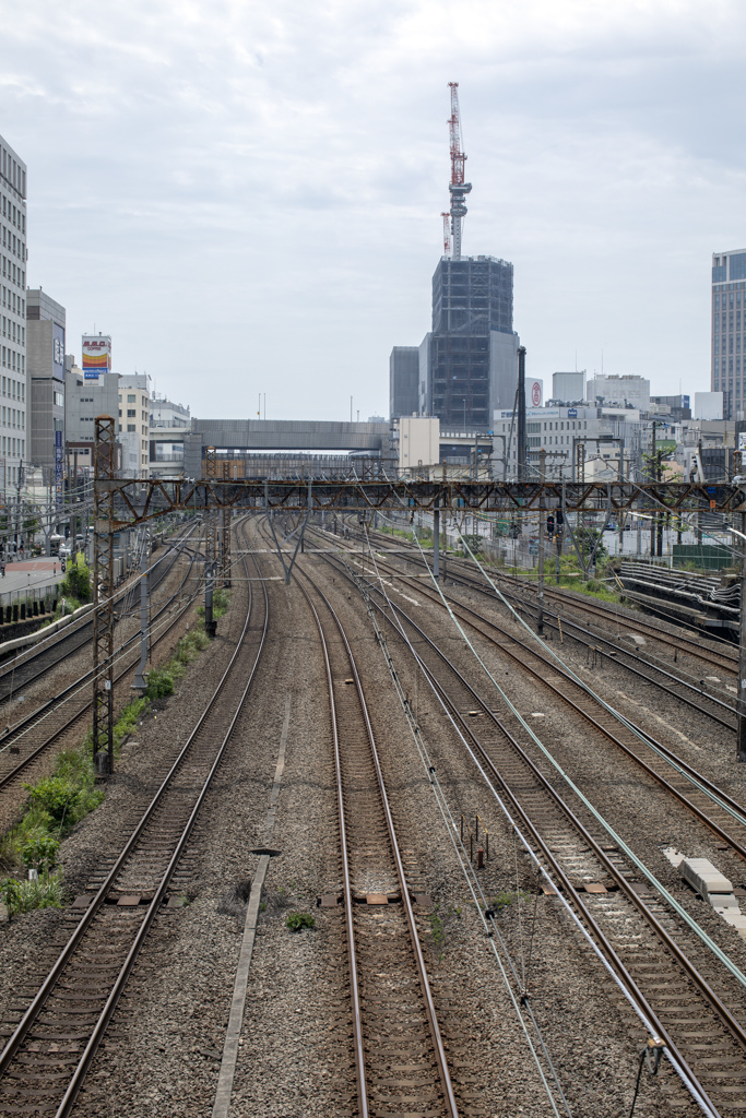 横浜その６