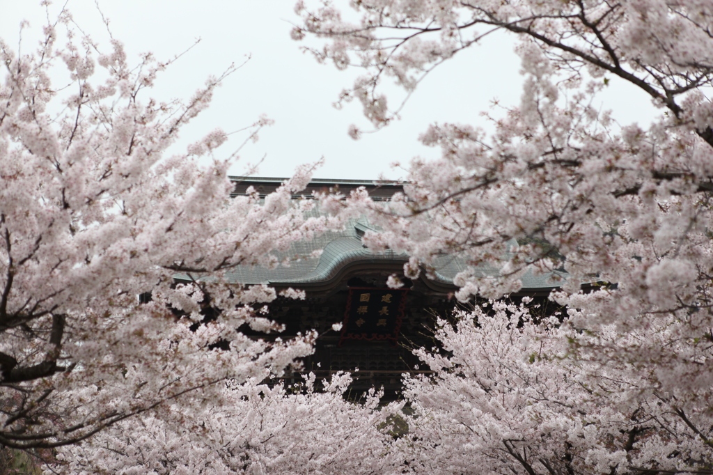 建長寺にて