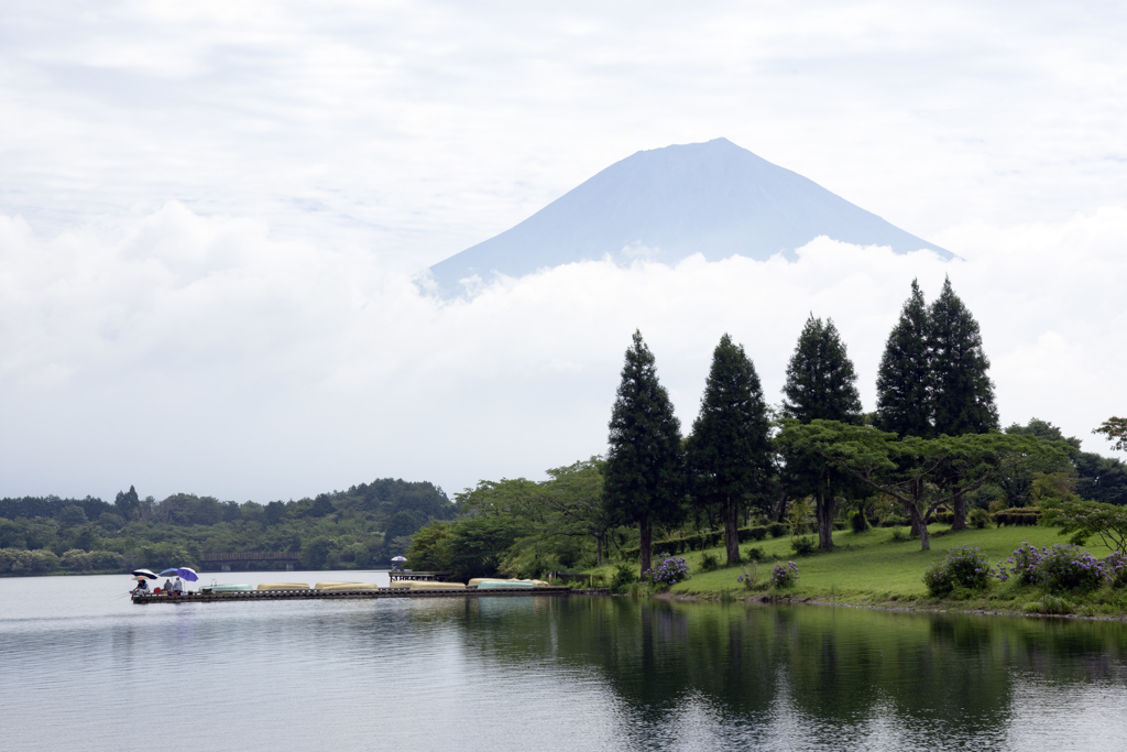 田貫湖の朝