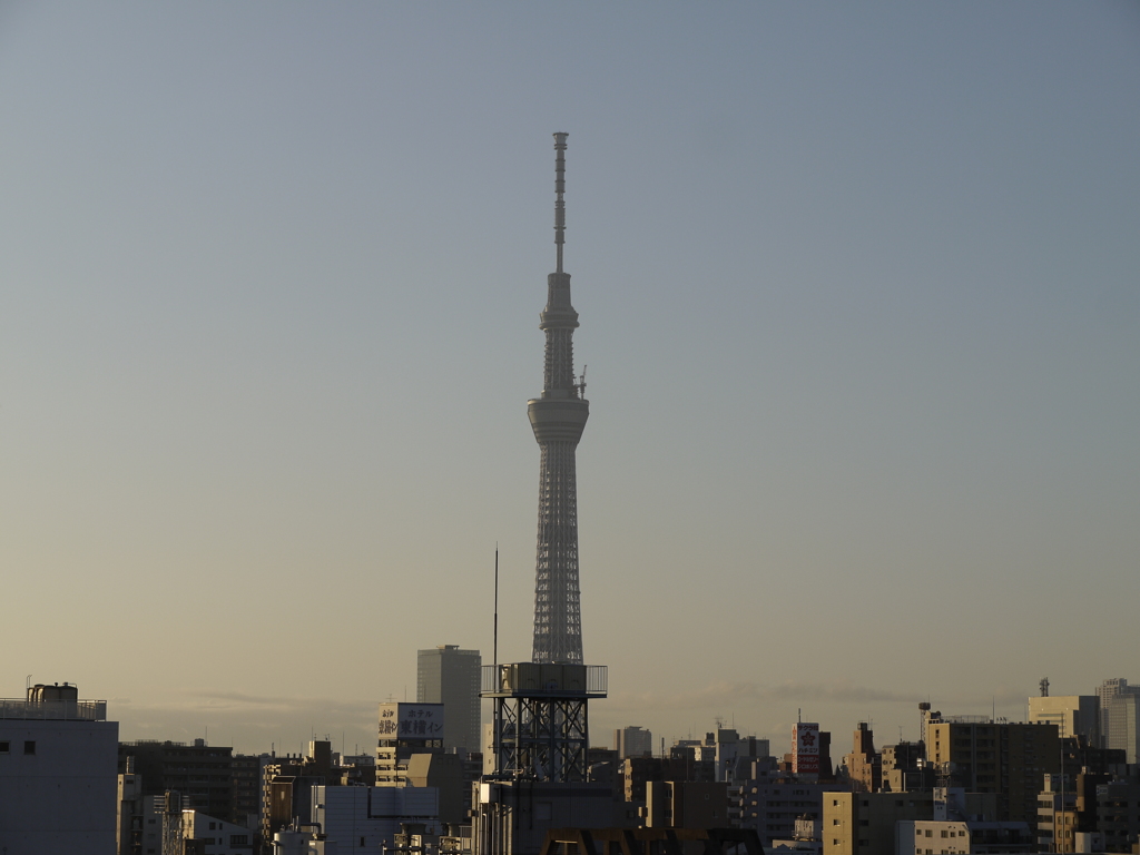 _1060329