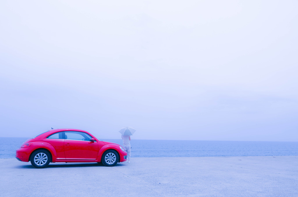 love the beetle