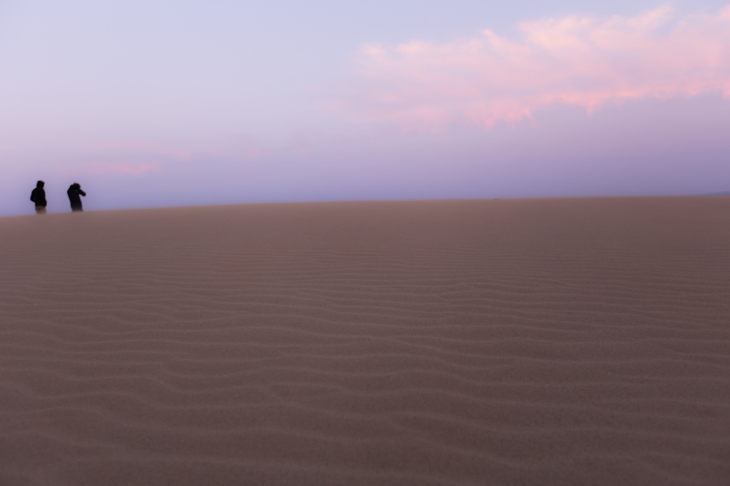 Scene of the dune #12