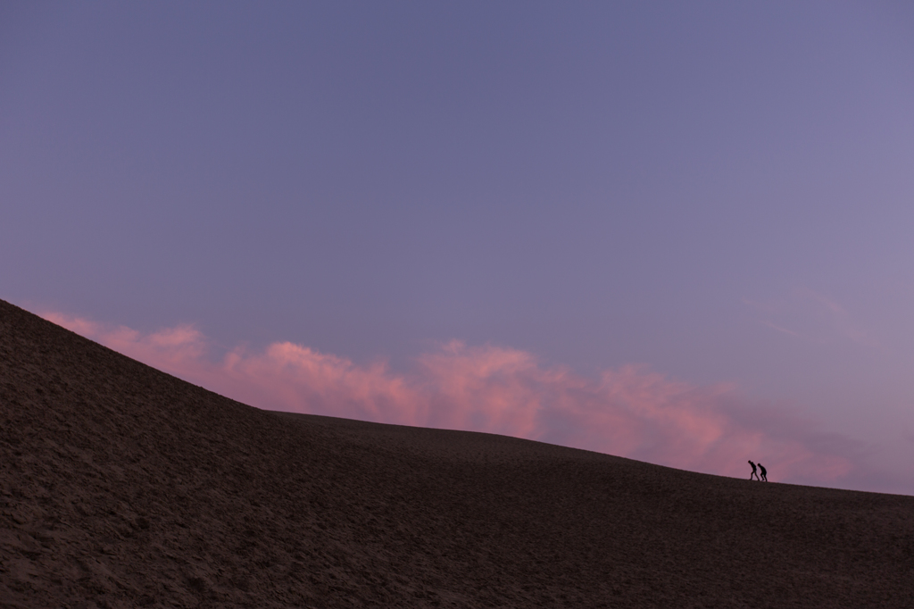Scene of the dune #10
