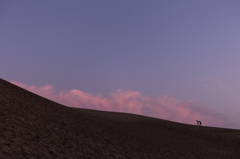 Scene of the dune #10