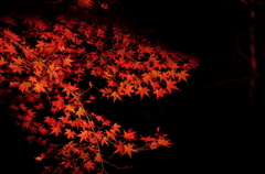 燃える
