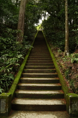 緑の階段