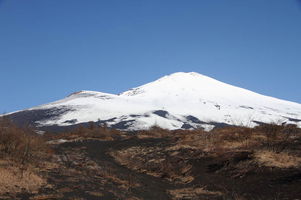 富士山御殿場登山口付近