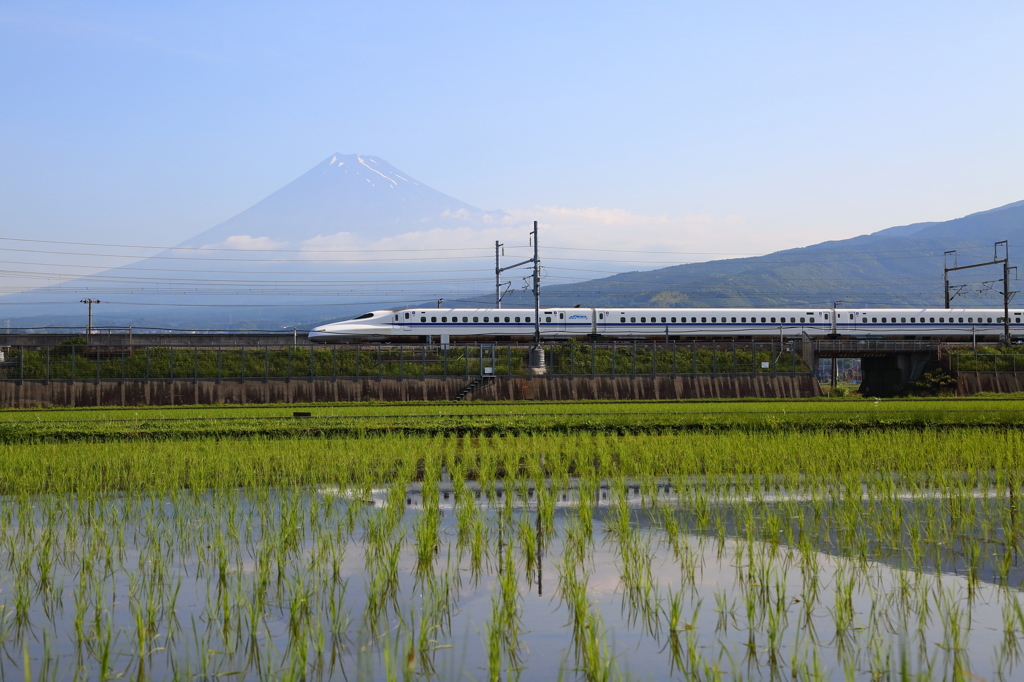 富士山