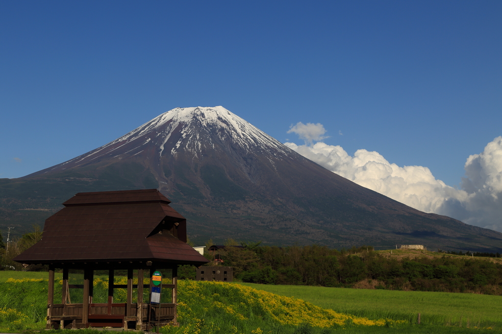 富士山