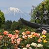 バラと富士山