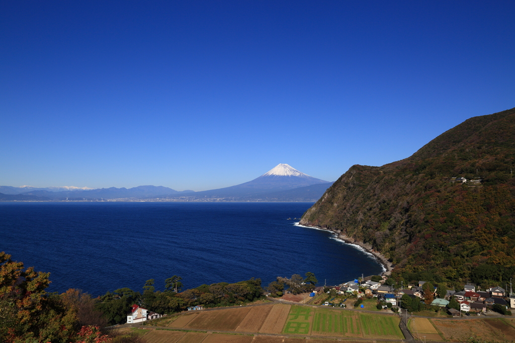 富士山