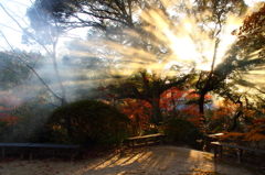 油山寺　朝日の中