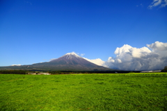 富士山