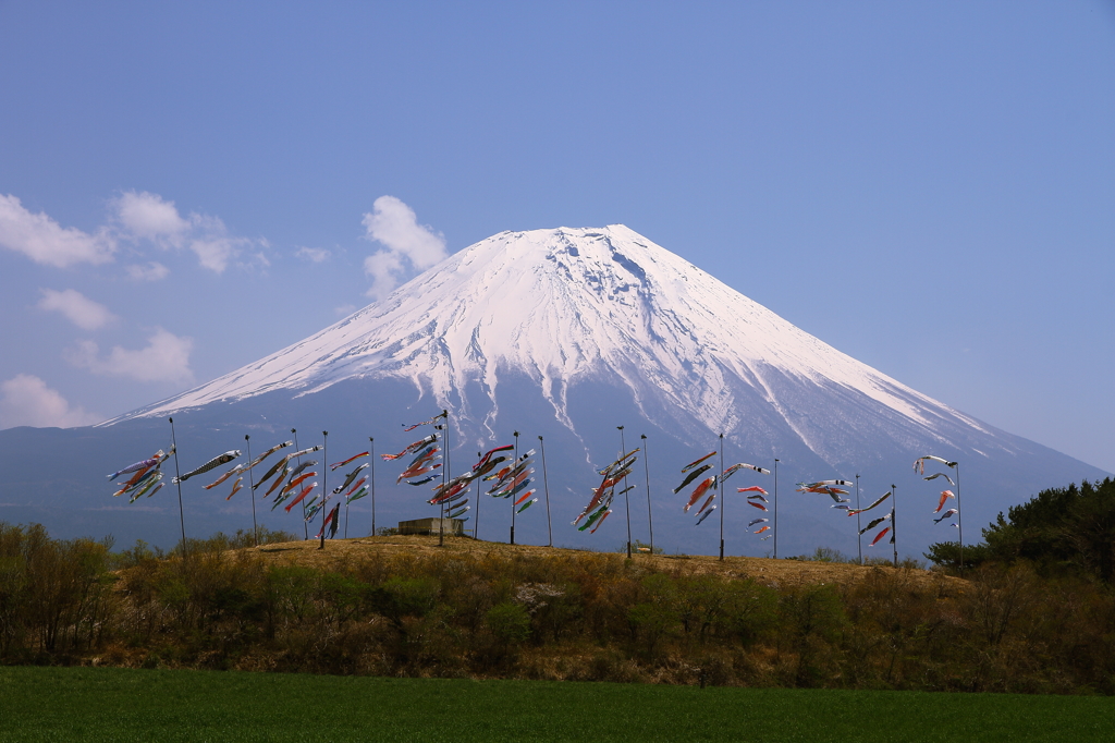 朝霧高原に泳ぐ鯉のぼり