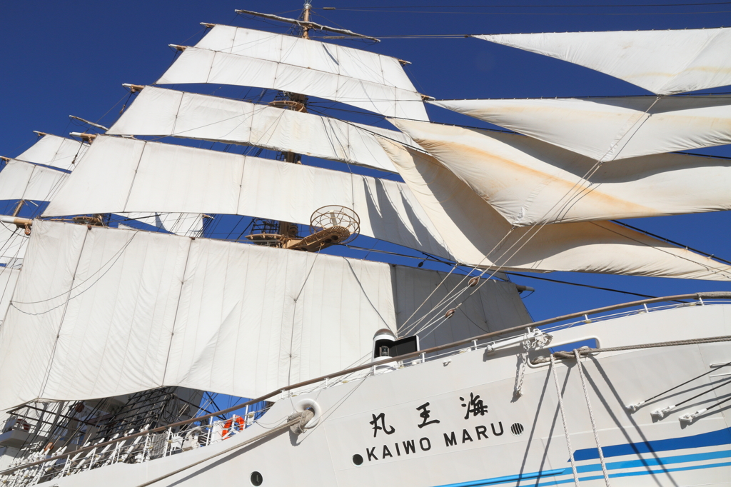 海王丸
