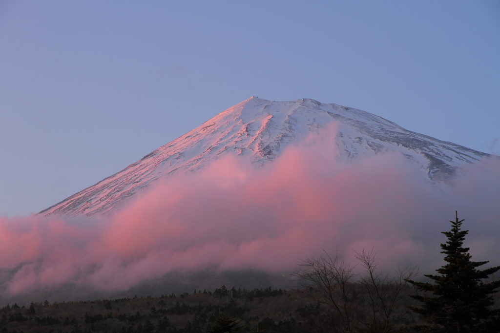 富士山