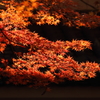 油山寺　紅葉