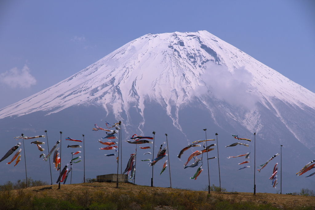 富士山と鯉のぼり