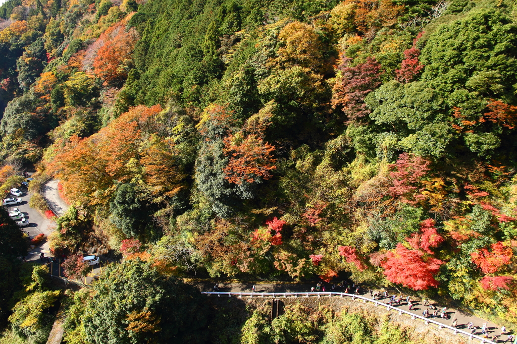 須津川渓谷