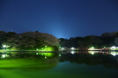 緑に輝く