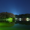 緑に輝く